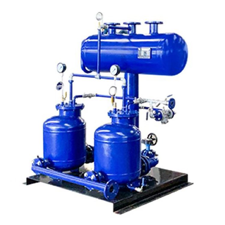 WhatsApp Image 2025-08-23 at 9.33.01 PM